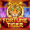 Fortune Tiger