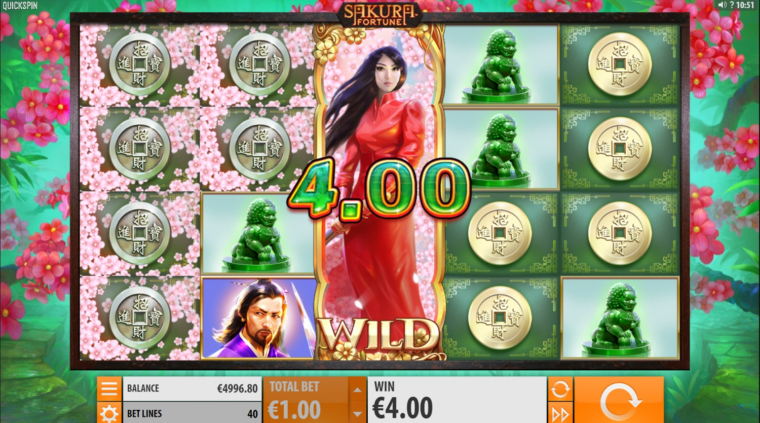 Win in the base game with the Wild Scatter symbol