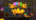 Win in the free spins bonus